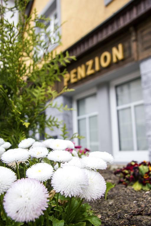 Penzion 43 Bor Exterior foto